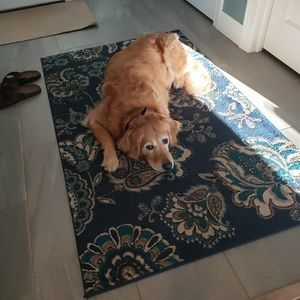 Meet your Posher, Lori